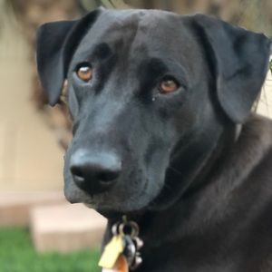 Meet your Posher, Jeremy